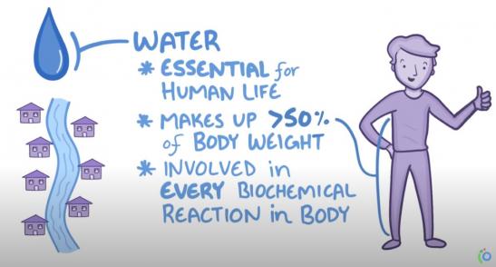 Hydration Infographic image