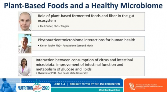 Plant Based Foods Webinar image